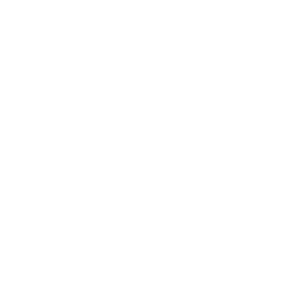 Arev Motors